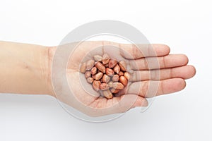 Macro Close up of organic red brown peanuts Arachis hypogaea on the palm of a Female hand.