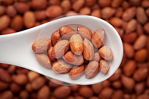 Macro Close-up of organic red-brown peanuts Arachis hypogaea on a white ceramic soup spoon in a blurred background.