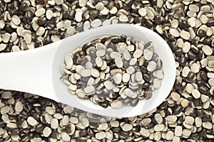 Macro Close up of Organic split black urad dal Vigna mungo with shell on a white ceramic soup spoon.