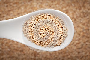 Macro Close up of Organic White Sesame seedsSesamum indicum or white Til with shell on a white ceramic soup spoon in a blurred