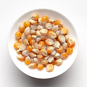 Macro Close up organic yellow corn seed or maize Zea mays inside a white ceramic seed.