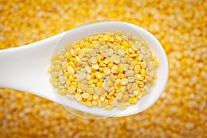 Macro Close up of Organic yellow Gram Vigna radiata or split yellow moong dal inside a ceramic white soup spoon in a blurred