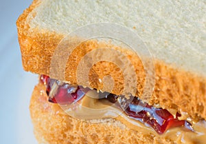 Macro close up of peanut butter jelly sandwich