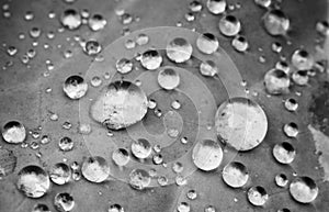 Macro close up of pure rain drop on leaf with venation zen background in black and white