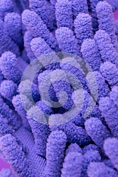 Macro close up of purple chenille microfiber texture for cleaning, trapping dust