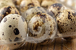 Macro close-up of quail eggs in transparent plastic egg cup, selective focus, on wooden table