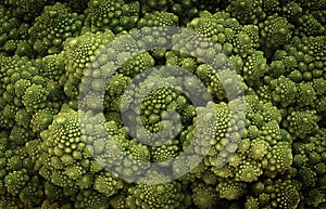 Macro close up of a Romanesco cauliflower photo