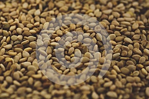 Macro close up of sesame seeds, Selective focus photo