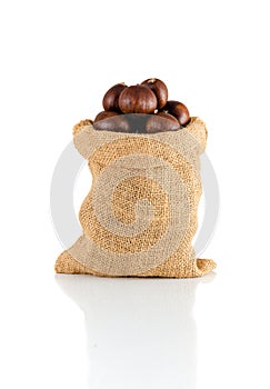 macro or close-up side view of chestnut in a burlap sack and reflection isolated on white background, Suitable for creative