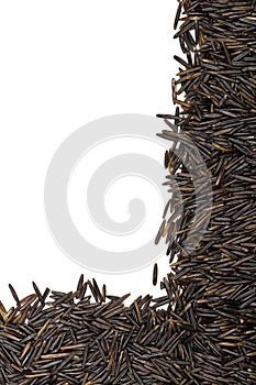 Macro close up of uncooked, raw, black wild rice grains texture edge flat lay top view from above over white background