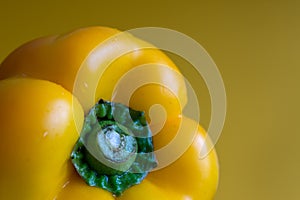 Macro close-up of wet yellow pepper on yellow background, horizontally