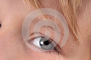 Macro close up young child blonde boys grey eye, blonde eyebrows and brown lashes. Caucasian light skin. Eye health care