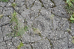 Macro closeup on concrete asphalt cracks on the road. background, texture