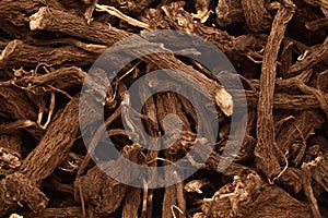 Macro closeup of Organic Calamus (Acorus calamus) root.