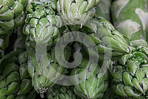 Macro closeup of organic green asparagus with focus on asparagus heads