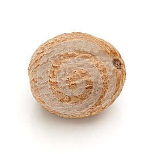 Macro closeup of Organic Nutmeg Seed.