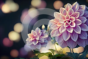 Macro closeup ravishing of blooming dahlia flower petal during springtime.