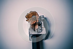 Macro closeup of sharpening a pencil with a grey metal pencil sharpener with wooden swirl shaving - Concept of school education