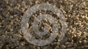 Macro closeup soft beige carpet rug texture