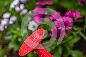 Macro closeup of sprinkler head of watering can in garden