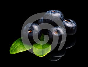 Macro closeup view blueberries leaves isolated black