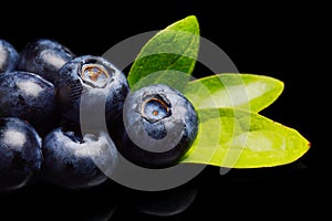 Macro closeup view blueberries leaves isolated black