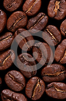 Macro coffebeans background