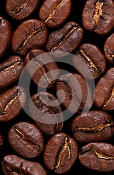 Macro coffebeans background photo