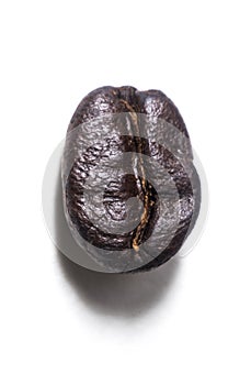 Macro coffee bean for menu