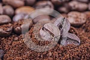 Macro coffee beans background