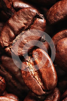 Macro coffee beans dark roasted very close photo