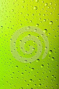 Macro of a Cold Frosted Beer Bottle