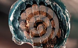 Macro copper wire - Close up of cable end