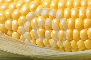 Macro Corn Kernels