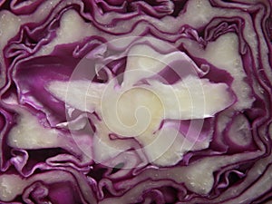 Macro of cut raw Red cabbage