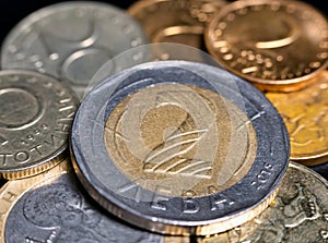 Macro detail with Bulgarian Lev coins. the Lev is the official currency of Bulgaria