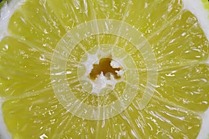 Macro detail closeup of yellow slice citrus fruit pulp with juice sacs, segment walls and white rind