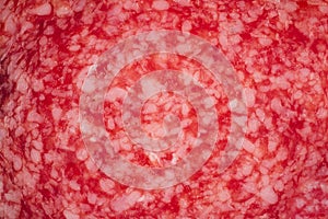 Macro detail of salami sausages slice