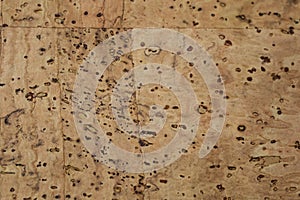 Patterned cork leather fabric