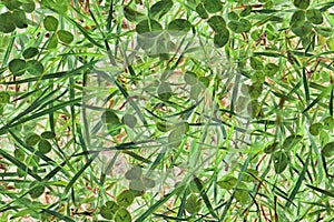 Macro detail of vividly green abstract matter texture photo