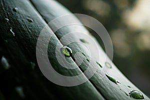 Macro detail of a water drops on the green leaf with magnified white dots as a background symbol of fresh and healthy nature