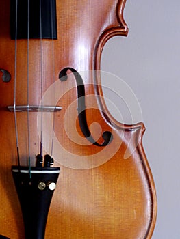 Viola scroll detail