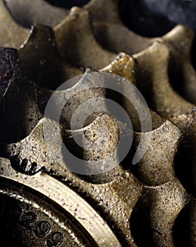 A macro of dirty bicycle gears