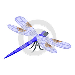 Macro dragonfly icon isometric vector. Wing insect