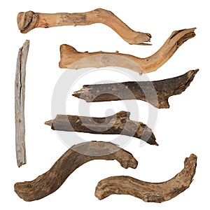 Macro dry branches isolated on white background