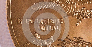 Macro of E Pluribus Unum