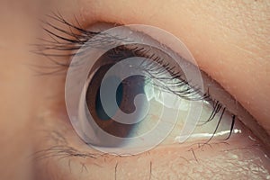 Macro of eye black color