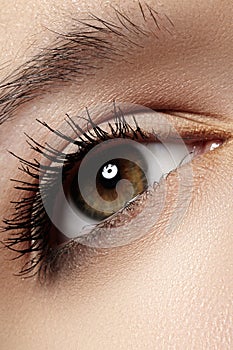 Macro eye with fashion light make-up, long eyelashes