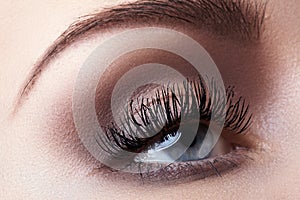 Macro eye with fashion light make-up, long eyelashes, eyebrows