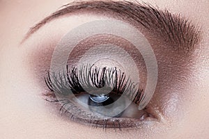 Macro eye with fashion light make-up, long eyelashes, eyebrows